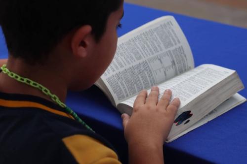 8. DÍA DEL LIBRO. GRAMÁTICA SHOW 2023
